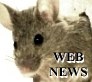 Rodent Web News